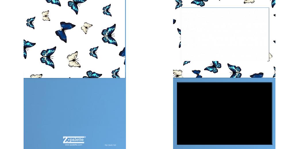 Custom Solid Z Palette