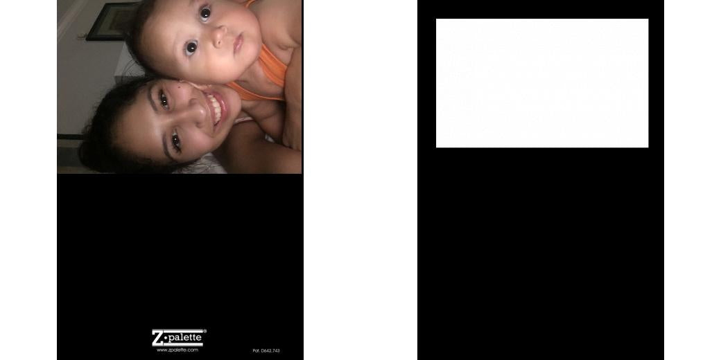 Custom Solid Z Palette