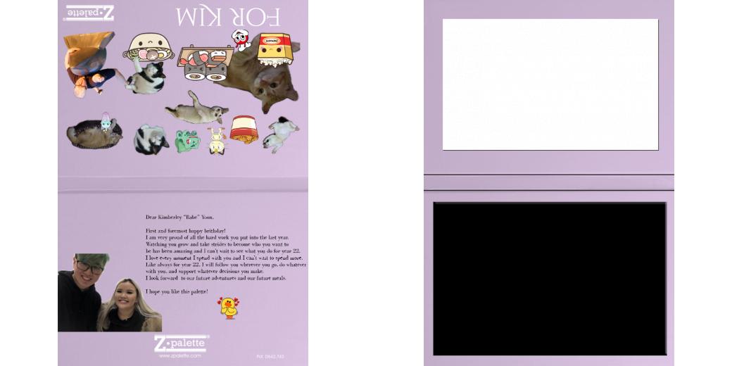 Custom Solid Z Palette