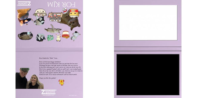 Custom Solid Z Palette