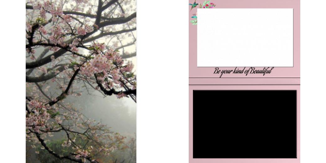 Custom Solid Z Palette