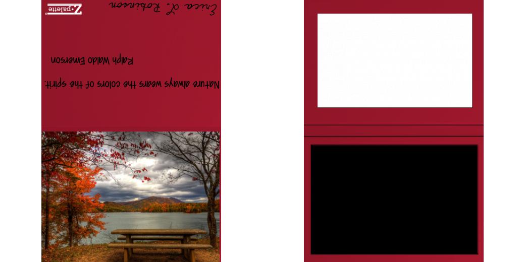 Custom Solid Z Palette