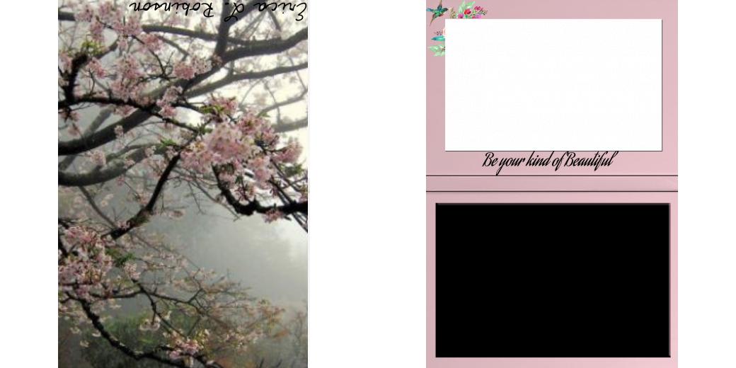 Custom Solid Z Palette