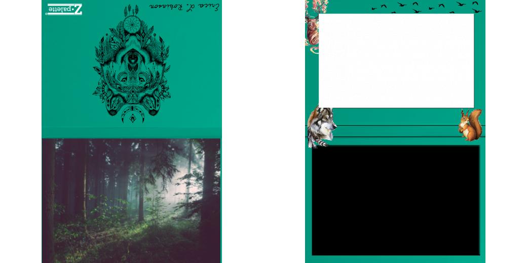 Custom Solid Z Palette