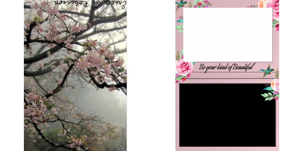 Custom Solid Z Palette