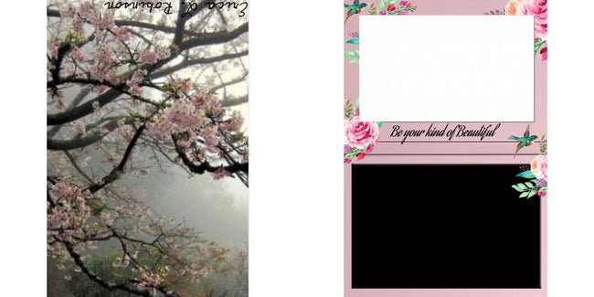 Custom Solid Z Palette