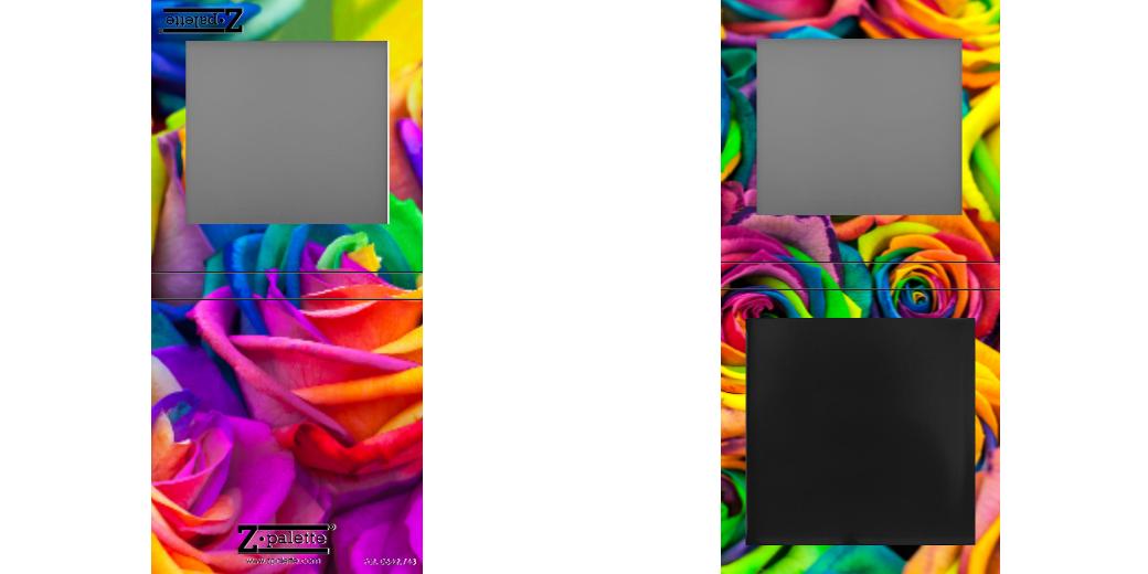 Custom Small Z Palette