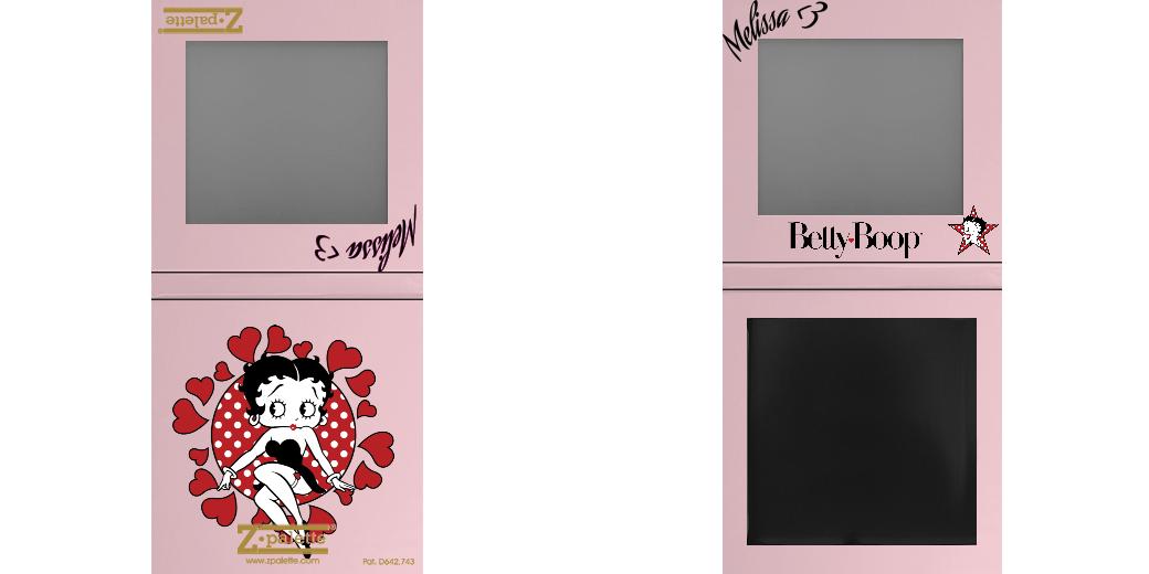 Custom Small Z Palette