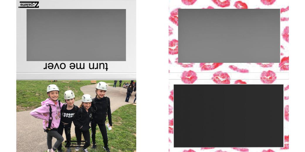 Custom Large Z Palette