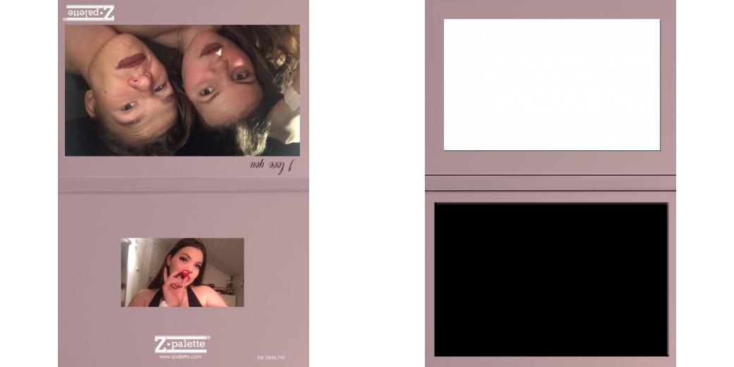 Custom Solid Z Palette