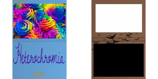 Custom Solid Z Palette