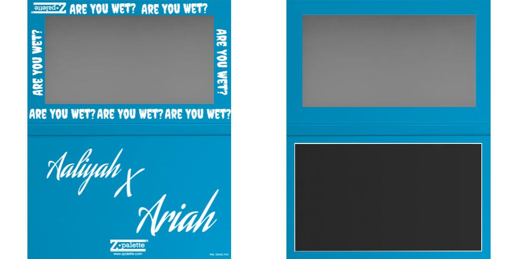 Custom Large Z Palette