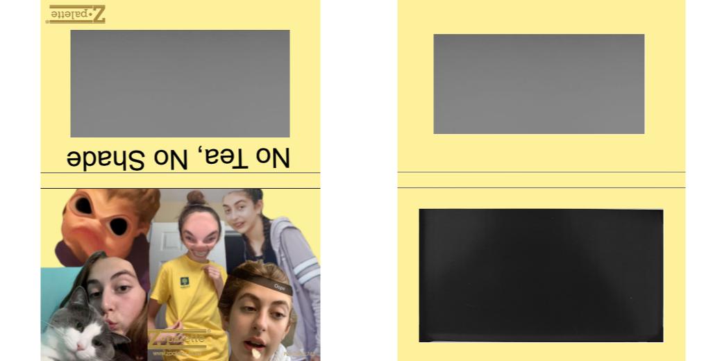 Custom Medium Deep Z Palette