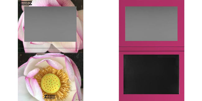 Custom Extra Large Z Palette