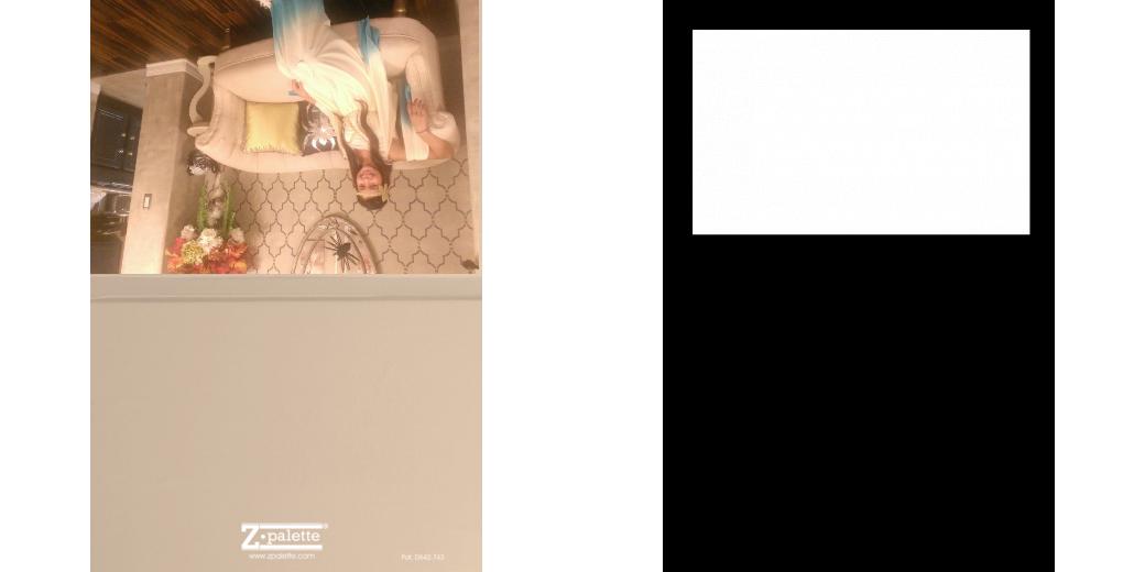 Custom Solid Z Palette