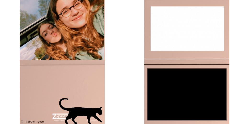 Custom Solid Z Palette