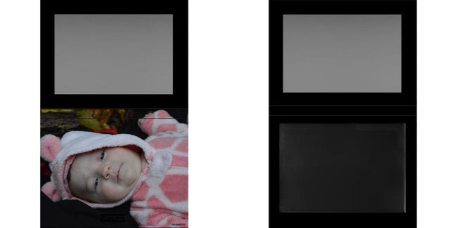 Custom Extra Large Z Palette