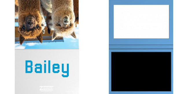 Custom Solid Z Palette