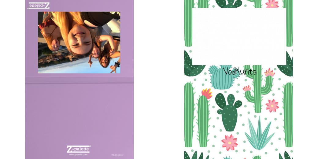 Custom Solid Z Palette