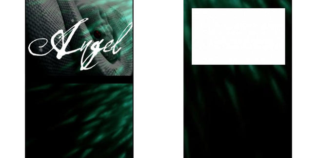 Custom Solid Z Palette