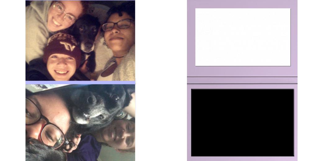 Custom Solid Z Palette