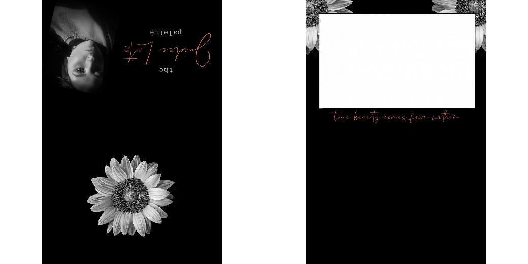 Custom Solid Z Palette