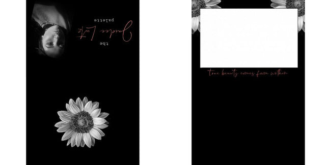 Custom Solid Z Palette