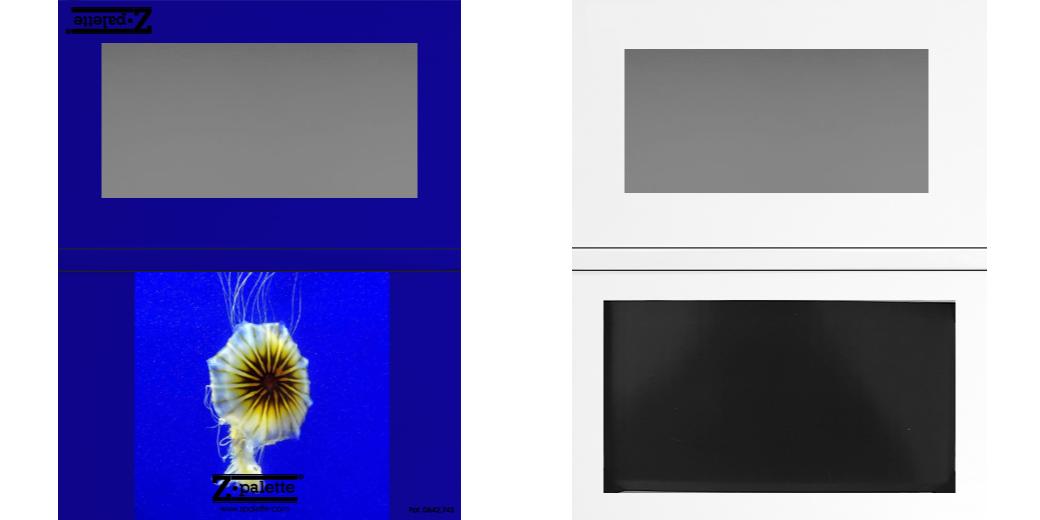 Custom Medium Deep Z Palette