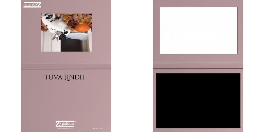 Custom Solid Z Palette