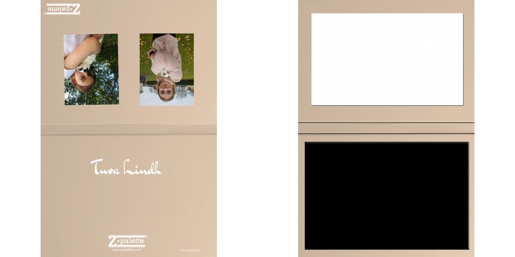 Custom Solid Z Palette