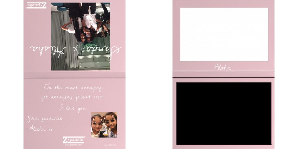 Custom Solid Z Palette