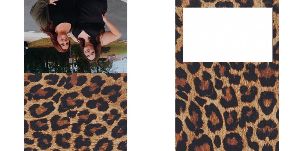 Custom Solid Z Palette