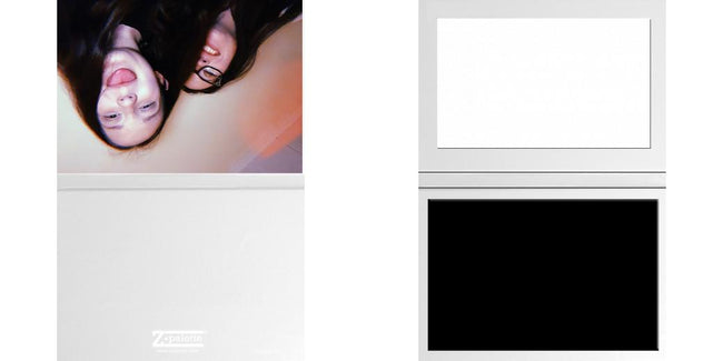 Custom Solid Z Palette