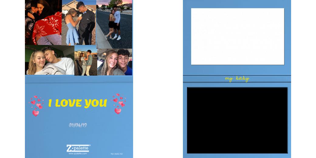 Custom Solid Z Palette