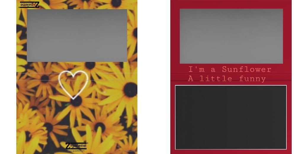 Custom Large Z Palette