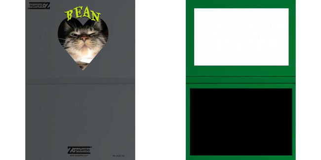 Custom Solid Z Palette