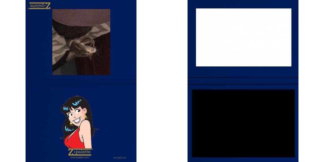 Custom Solid Z Palette