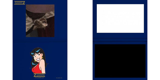 Custom Solid Z Palette