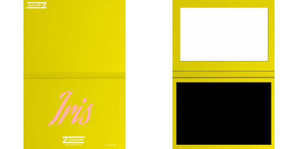 Custom Solid Z Palette