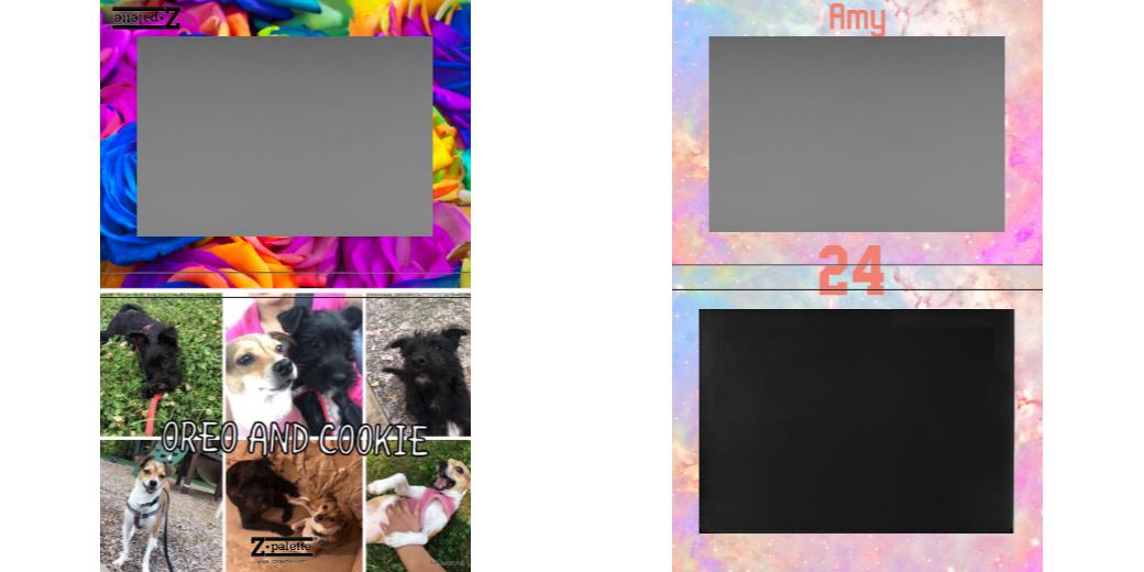 Custom Extra Large Z Palette