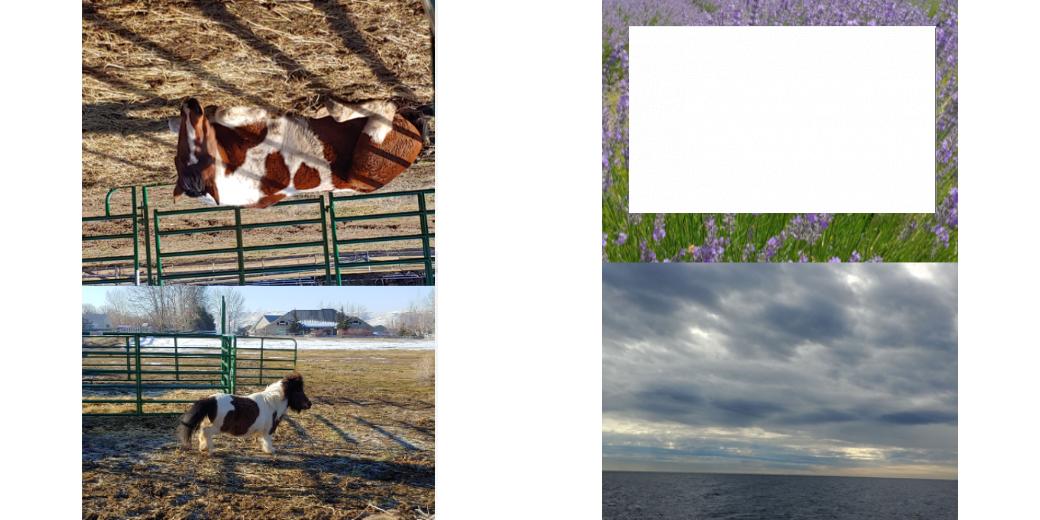 Custom Solid Z Palette