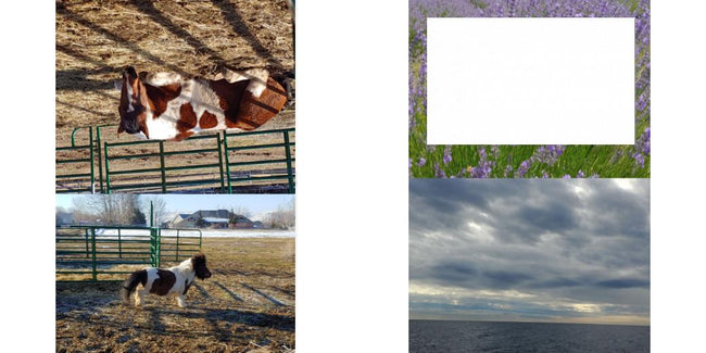 Custom Solid Z Palette