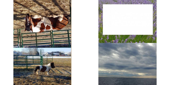 Custom Solid Z Palette