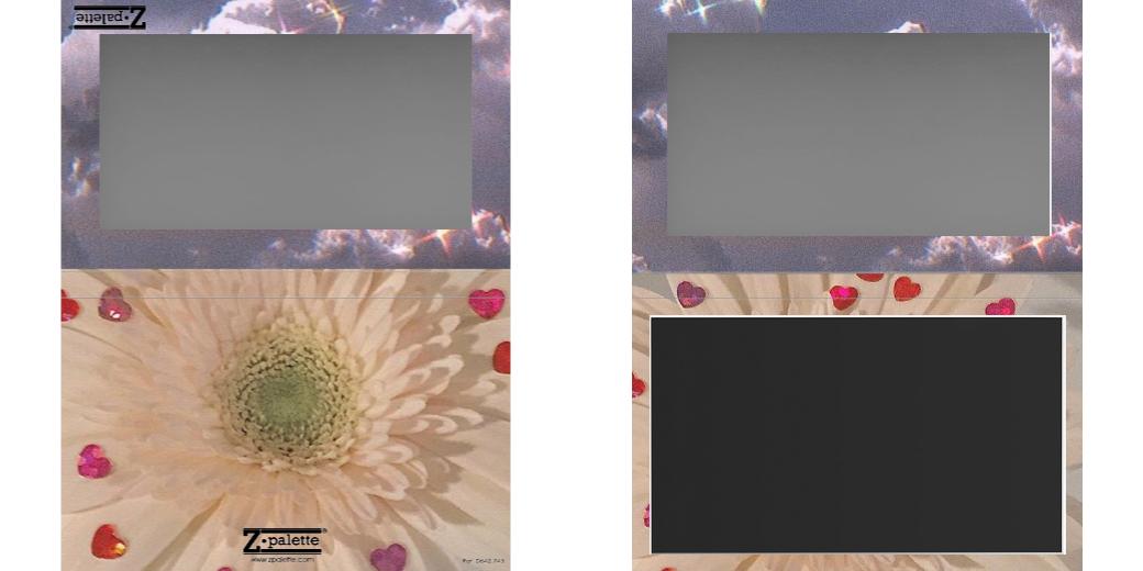 Custom Large Z Palette