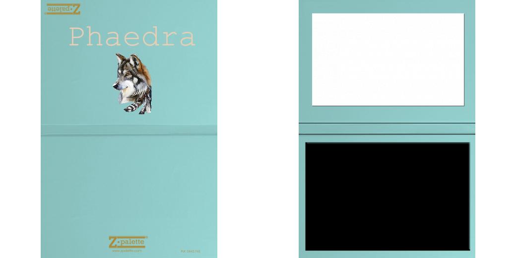 Custom Solid Z Palette