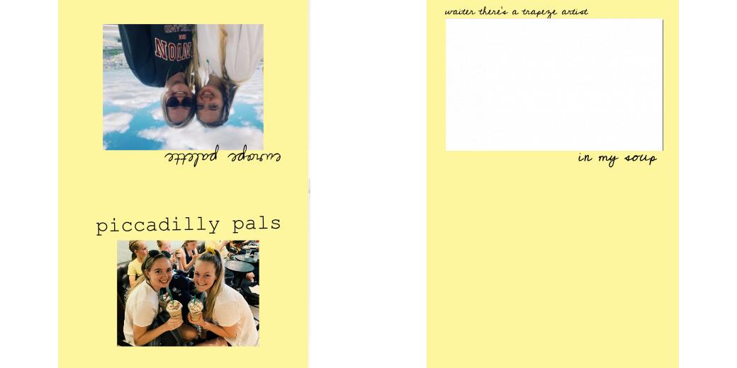 Custom Solid Z Palette