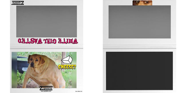 Custom Large Z Palette