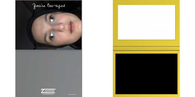 Custom Solid Z Palette