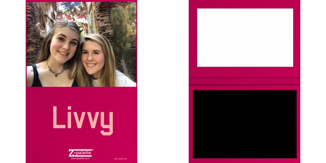 Custom Solid Z Palette