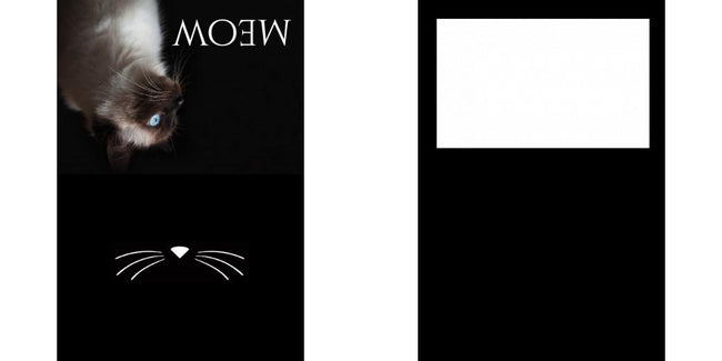 Custom Solid Z Palette